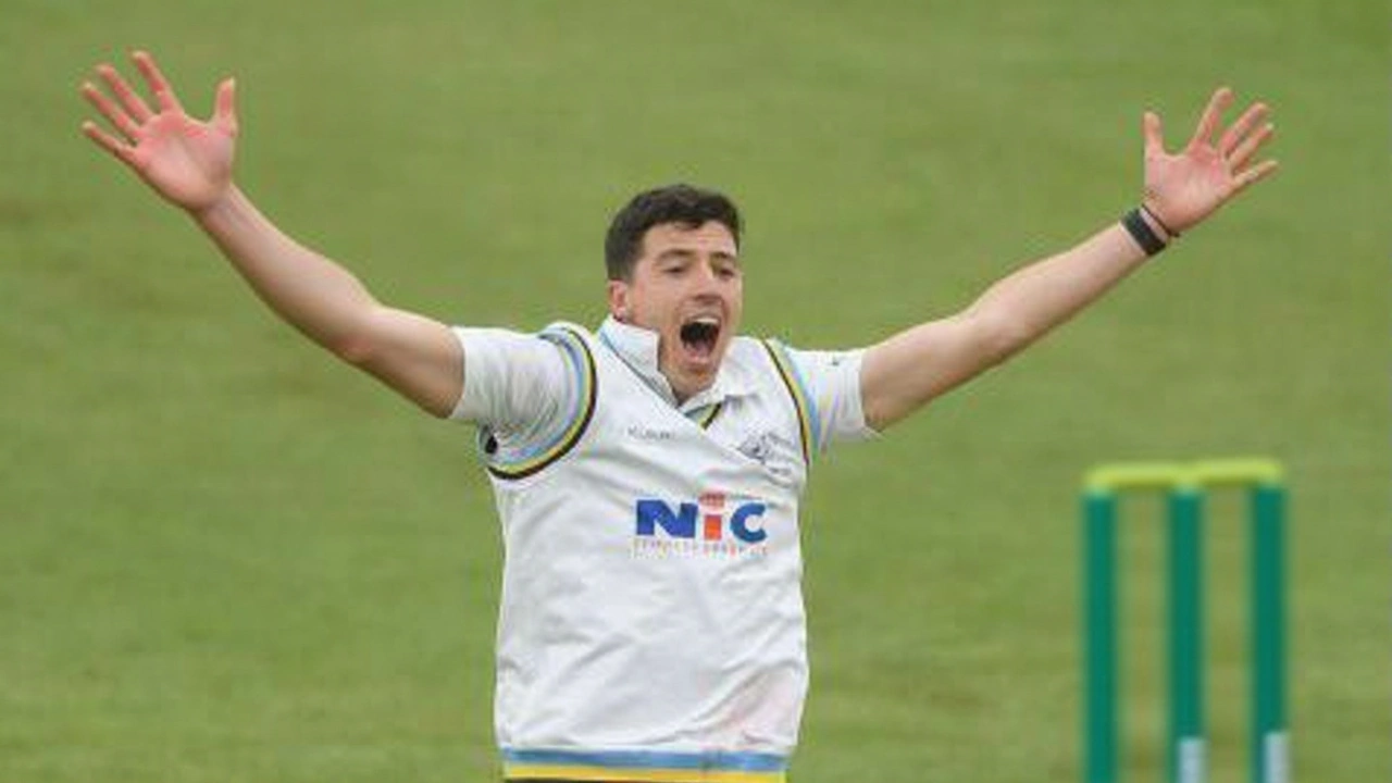 What’s Next for the Ashes?